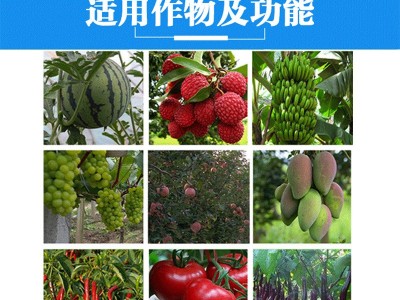 批发≧99%磷酸二氢钾 农用级水溶性钾肥花卉果树叶面肥4公斤桶装图3