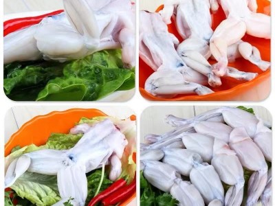 牛蛙鲜活新鲜特大田鸡青蛙肉半成品牛蛙腿蛙肉冷冻串商用批发图3
