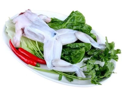 牛蛙鲜活新鲜特大田鸡青蛙肉半成品牛蛙腿蛙肉冷冻串商用批发图1
