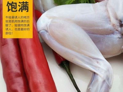 牛蛙鲜活新鲜特大田鸡青蛙肉半成品牛蛙腿蛙肉冷冻串商用批发图4