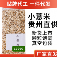 贵州薏米仁500G新货1斤小薏米薏苡仁小薏米赤小豆茶批发一件代发