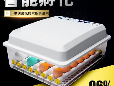 厂家直销全自动双电源孵化机孵化器孵化箱 鸡蛋孵化设备图2