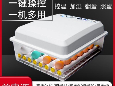厂家直销全自动双电源孵化机孵化器孵化箱 鸡蛋孵化设备图3