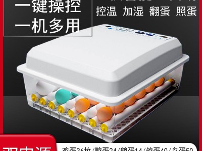 厂家直销全自动双电源孵化机孵化器孵化箱 鸡蛋孵化设备图5