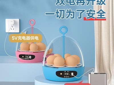 小鸡孵化器家用迷你儿童孵化机全自动孵蛋器外贸智能孵化箱图4