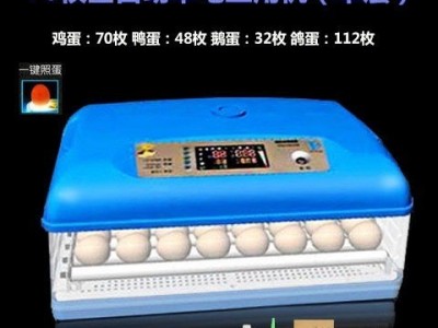 孵化机128枚家用小型全自动鸡蛋器孵化箱直销发货速度快图3