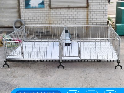 单体母猪产床分娩床复合保育床 养母猪专用养殖设备产床保育床图5