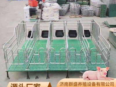 母猪定位栏限位栏猪圈围栏复合漏粪板母猪产床养猪用设备批发保育图5