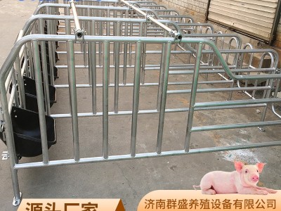 母猪定位栏限位栏猪圈围栏复合漏粪板母猪产床养猪用设备批发保育图4
