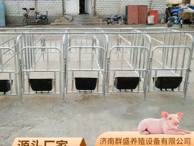 母猪定位栏限位栏猪圈围栏复合漏粪板母猪产床养猪用设备批发保育图3
