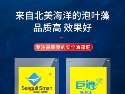 厂家现货浓缩海藻肥18公斤叶面肥 有机肥 水溶肥 海藻肥图3