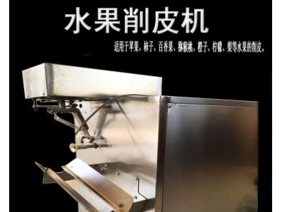 直销自动真空吸附式削皮机 柿子刮皮机 柿子苹果削皮机水果去皮机图4