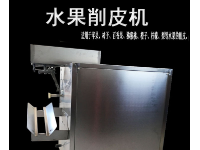 自动真空吸附式削皮机 柿子刮皮机 柿子苹果削皮机 水果去皮机图5