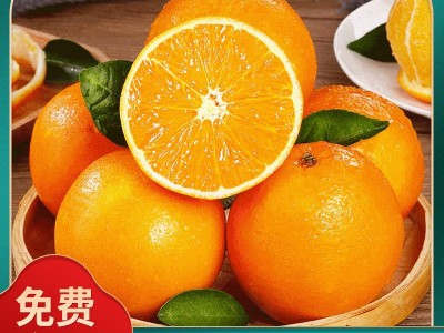 新鲜水果橙子 原产地现摘现发甜橙 时令孕妇水果手剥橙夏橙供应图1