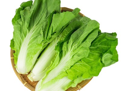 新鲜小白菜现摘四川当季农家蔬菜按件批发做法多样新鲜蔬菜水果图3