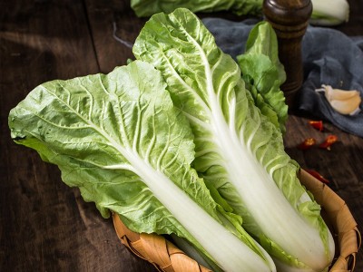 新鲜小白菜现摘四川当季农家蔬菜按件批发做法多样新鲜蔬菜水果图1
