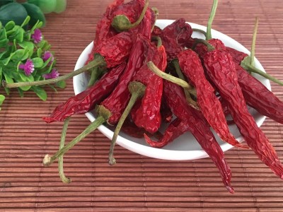 广西龙脊辣椒干桂林特产 火锅烤鱼特香农家调料干红辣椒500克批发图3