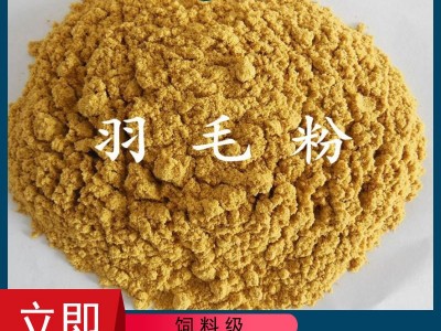 厂家供应饲料级羽毛粉适口性好家禽水产蛋白粉鸡毛鸭毛水解羽毛粉图1