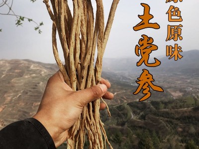 中药材批发 无硫党参条甘肃特产党参段图2
