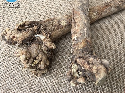 甘肃岷县野生黄芪大条 可切黄芪片磨粉 批发供应无硫北芪条北芪片图1