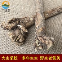 甘肃岷县野生黄芪大条 可切黄芪片磨粉 批发供应无硫北芪条北芪片