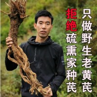 甘肃特产野生黄芪大片岷县无硫野生老黄芪整支条批发供应一件代发