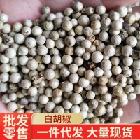 白胡椒江湖地摊农家煲汤家用颗粒 厨房调料香料