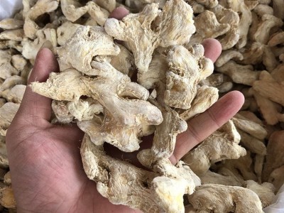 小黄姜 大福龙批发保质量 新货 姜块干姜/展销会/江湖 /地摊图1