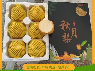 自家果园现摘现发山东烟台秋月梨丰水梨圆黄梨应季新鲜水果代批发图1