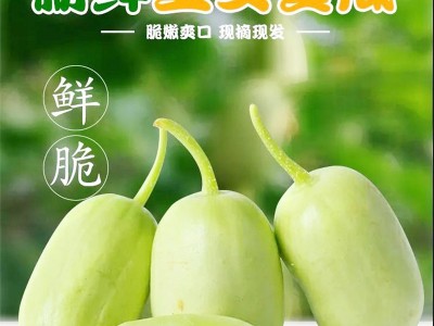 产地直发金童玉女水果黄瓜无刺鲜嫩蔬菜清甜爽口新玉女拇指小黄瓜图1