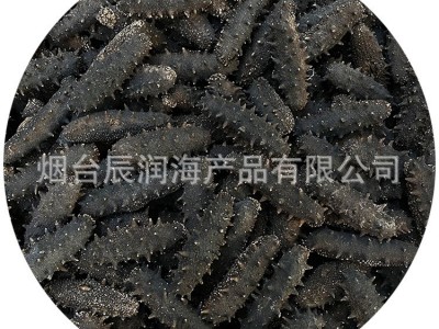 辰润海产品厂家直供大连顶火生海参高刺拉缸盐海参干货海参批发图5