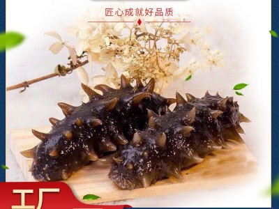 明尊9A级大连即食海参500g刺参鲜蒸即食海参 厂家批发 顺丰发货图1