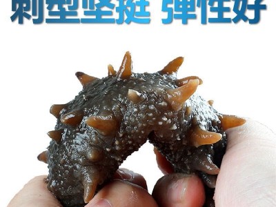 大连A级 淡干海参500g 厂家批发 非即食海参 海参干货 海参礼盒装图2