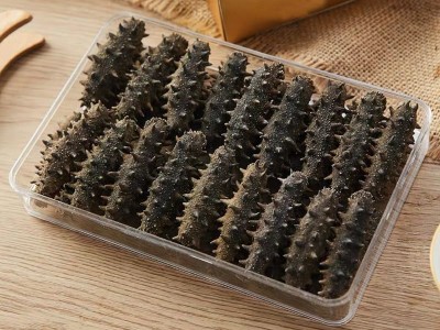大连A级 淡干海参500g 厂家批发 非即食海参 海参干货 海参礼盒装图4