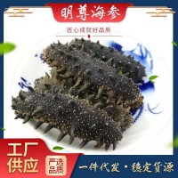 大连A级 淡干海参500g 厂家批发 非即食海参 海参干货 海参礼盒装