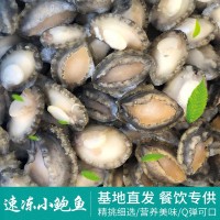 速冻鲍鱼批发不带壳冷冻小鲍鱼肉 海鲜餐饮酒店海产品贝类厂家