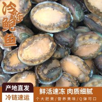 冻干鲍鱼6-12头鲍鱼 海鲜水产酒店佛跳墙食材 带壳活冻大鲍鱼批发