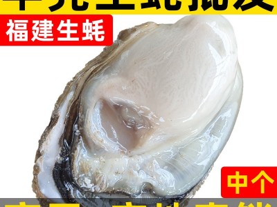 福建冷冻开半壳生蚝 产地直销鲜活牡蛎海鲜水产 烧烤自助生蚝批发图5