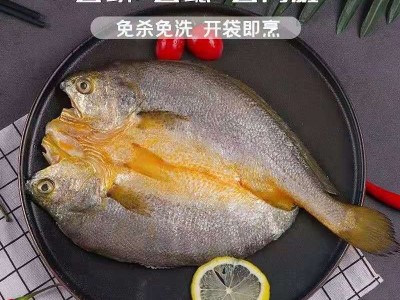 海肴膳醇香黄鱼鲞黄瓜鱼阿信水产批发 宁德大黄鱼新鲜冷冻黄花鱼图2