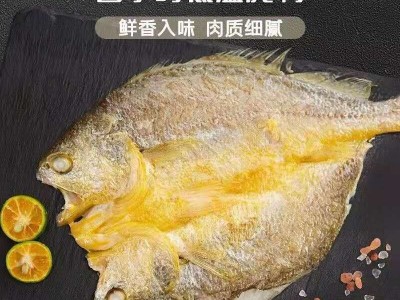 海肴膳醇香黄鱼鲞黄瓜鱼阿信水产批发 宁德大黄鱼新鲜冷冻黄花鱼图4