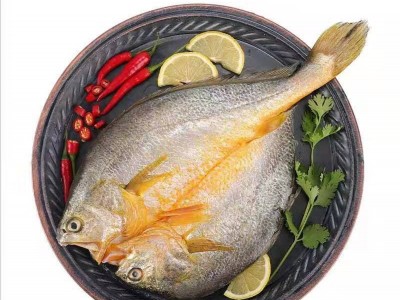 海肴膳醇香黄鱼鲞黄花鱼厂家批发宁德大黄鱼新鲜冷冻霞浦黄瓜鱼图5