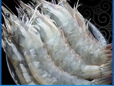白虾 热卖爆款 批发 餐饮预制菜 低 团购 采购专卖商超 酒店 自助图1