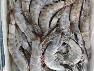 王牌 源头正品 火爆热销 批发商超餐饮厅大宗采购 自助 团购专卖图3