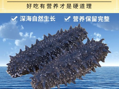 渤海湾大连淡干辽参刺参18倍海参干货50克图1