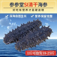 渤海湾大连淡干辽参刺参18倍海参干货50克