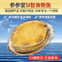 顺丰厂家批发烟台鲜活七孔即食鲍鱼 海捕新鲜海鲜佛跳墙食材