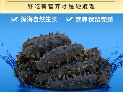 【顺丰】烟台参参堂海参批发冷压拉缸盐半干淡干海参干货泡发5倍图1