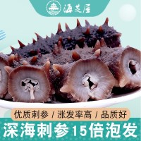 海芝屋大连纯淡干海参底播刺参 海参干货50克装海参散装批发 特产