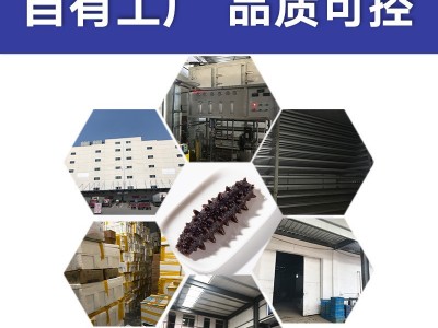 大连即食海参 工厂直发 非干海参小10头海参 佛跳墙 350g图4
