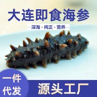 一手货源大连辽刺身高压即食海参板冻系列15头批发酒店佛跳墙从德